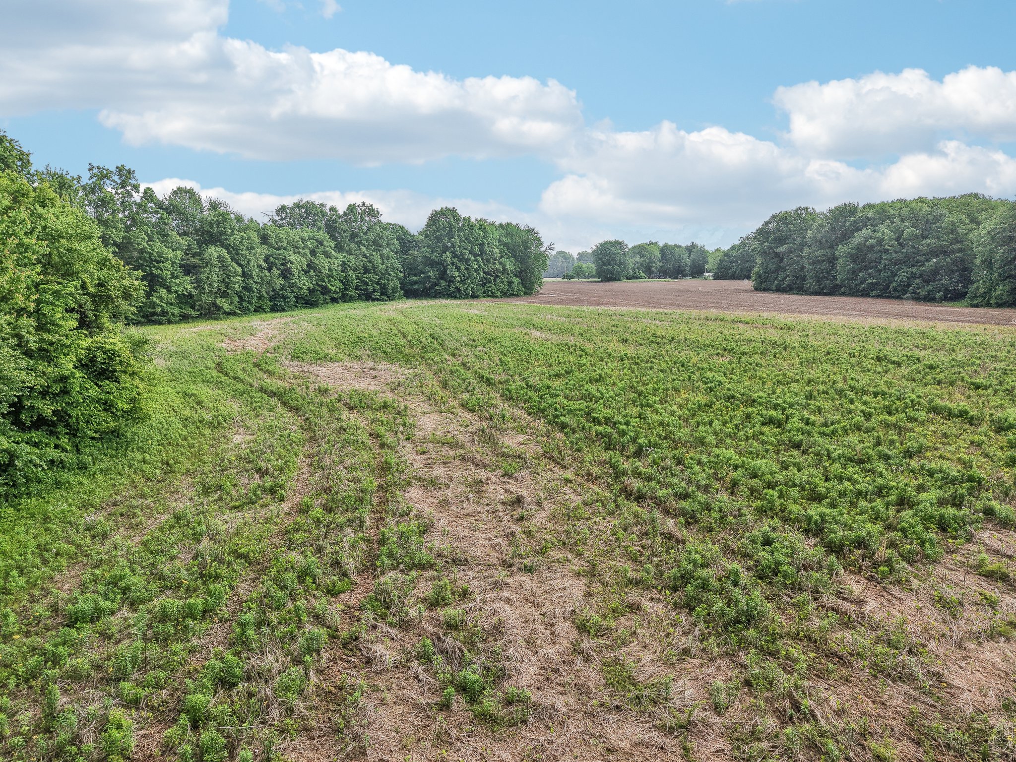 George Clem Rd-2305-008.jpg