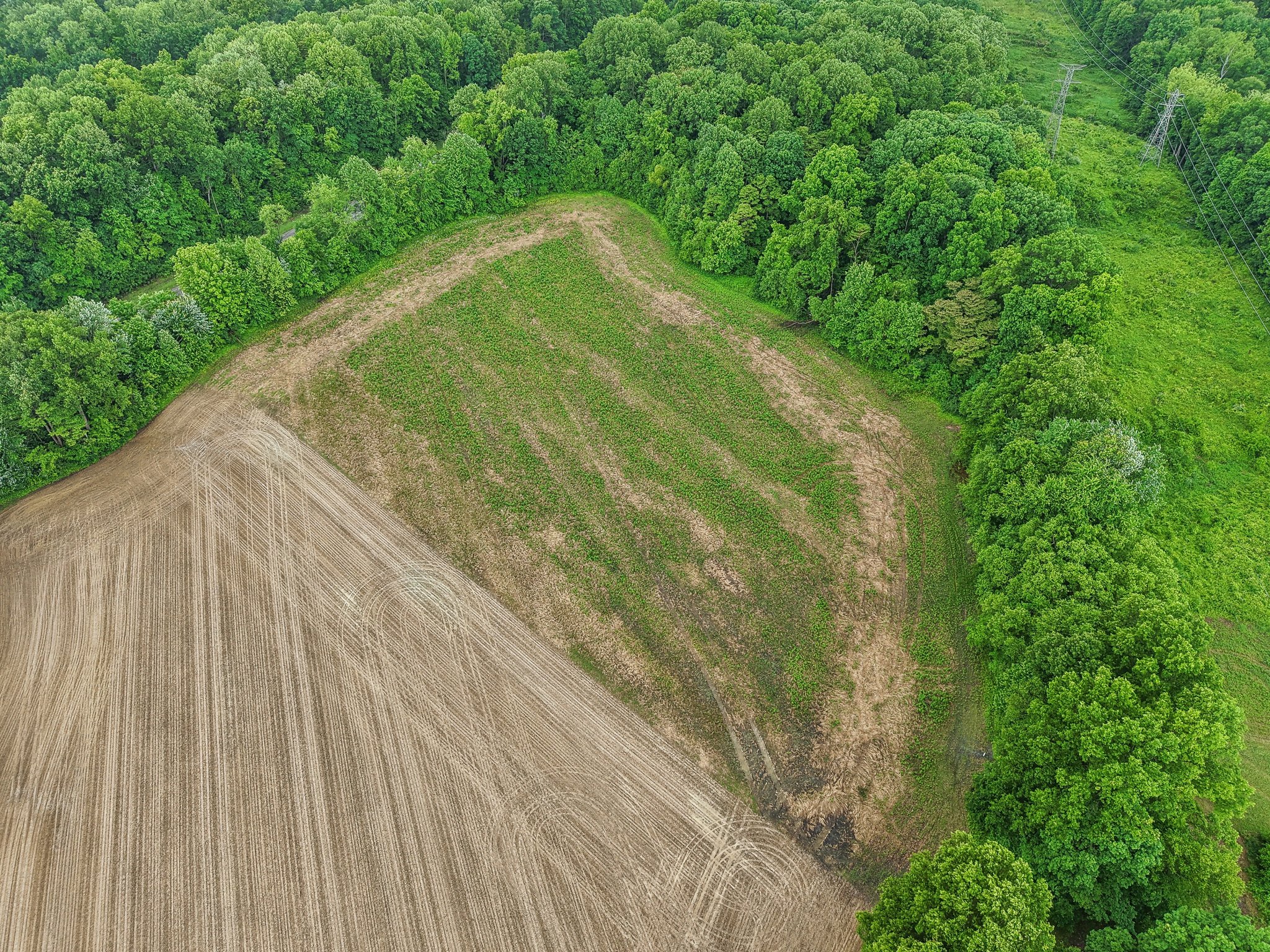 George Clem Rd-2305-011.jpg