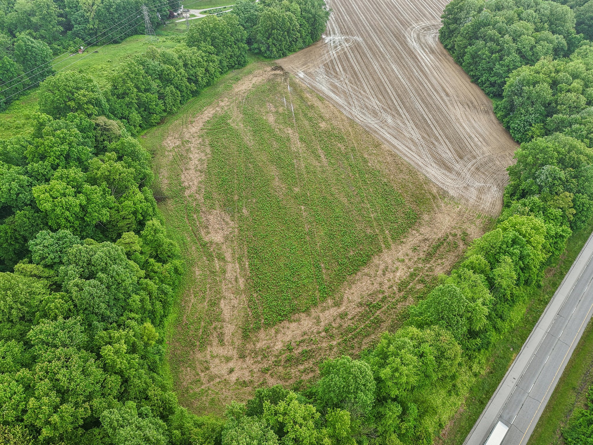 George Clem Rd-2305-015.jpg