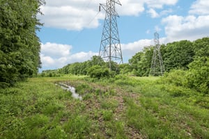 George Clem Rd-2305-003.jpg