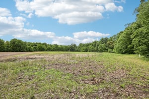 George Clem Rd-2305-004.jpg