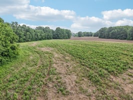 George Clem Rd-2305-008.jpg