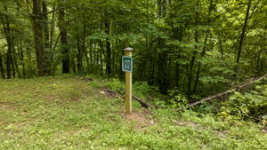  Photo 0