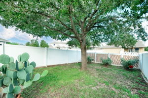 Back Yard