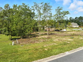 Photo 0