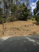  Photo 0