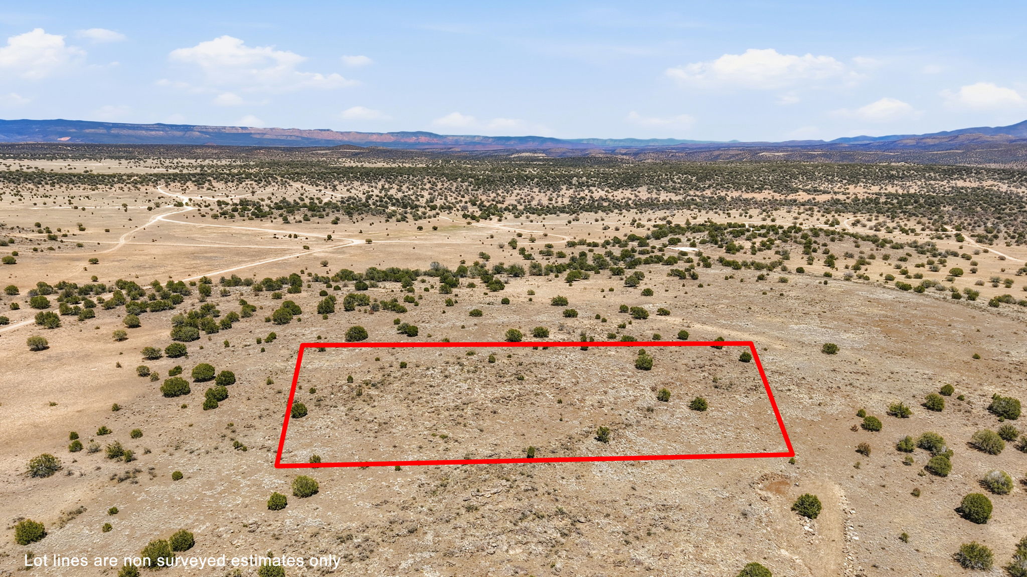 Aerial 1 Lot Lines