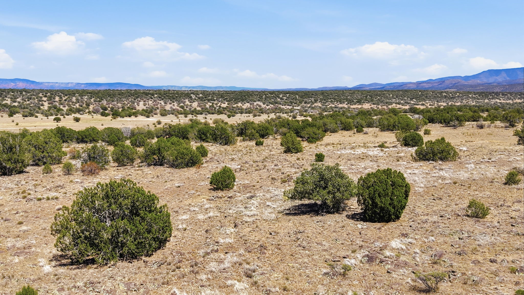Lot Photo 3