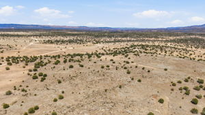 Aerial 1