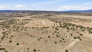 Aerial 3