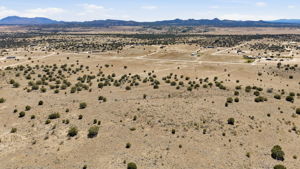 Aerial 5