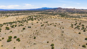 Aerial 6