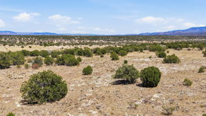 Lot Photo 3