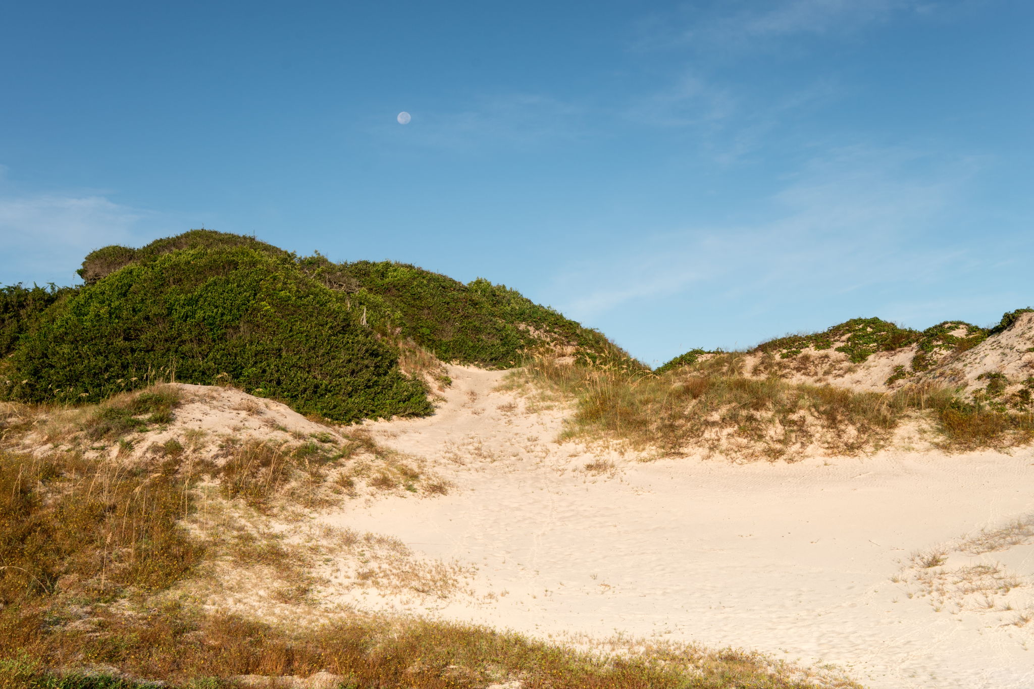 American Beach