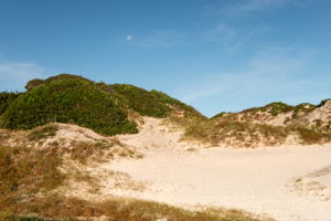 American Beach