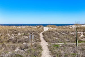 American Beach