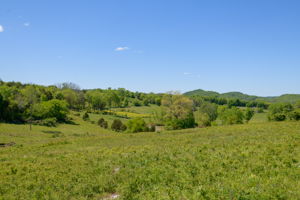  Photo 49