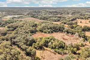 Harris Lake Rd-S2901-001.jpg