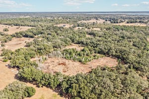 Harris Lake Rd-S2901-004.jpg