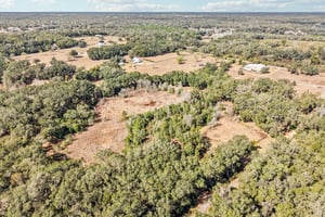 Harris Lake Rd-S2901-008.jpg