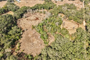 Harris Lake Rd-S2901-009.jpg