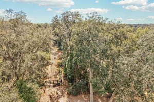 Harris Lake Rd-S2901-010.jpg