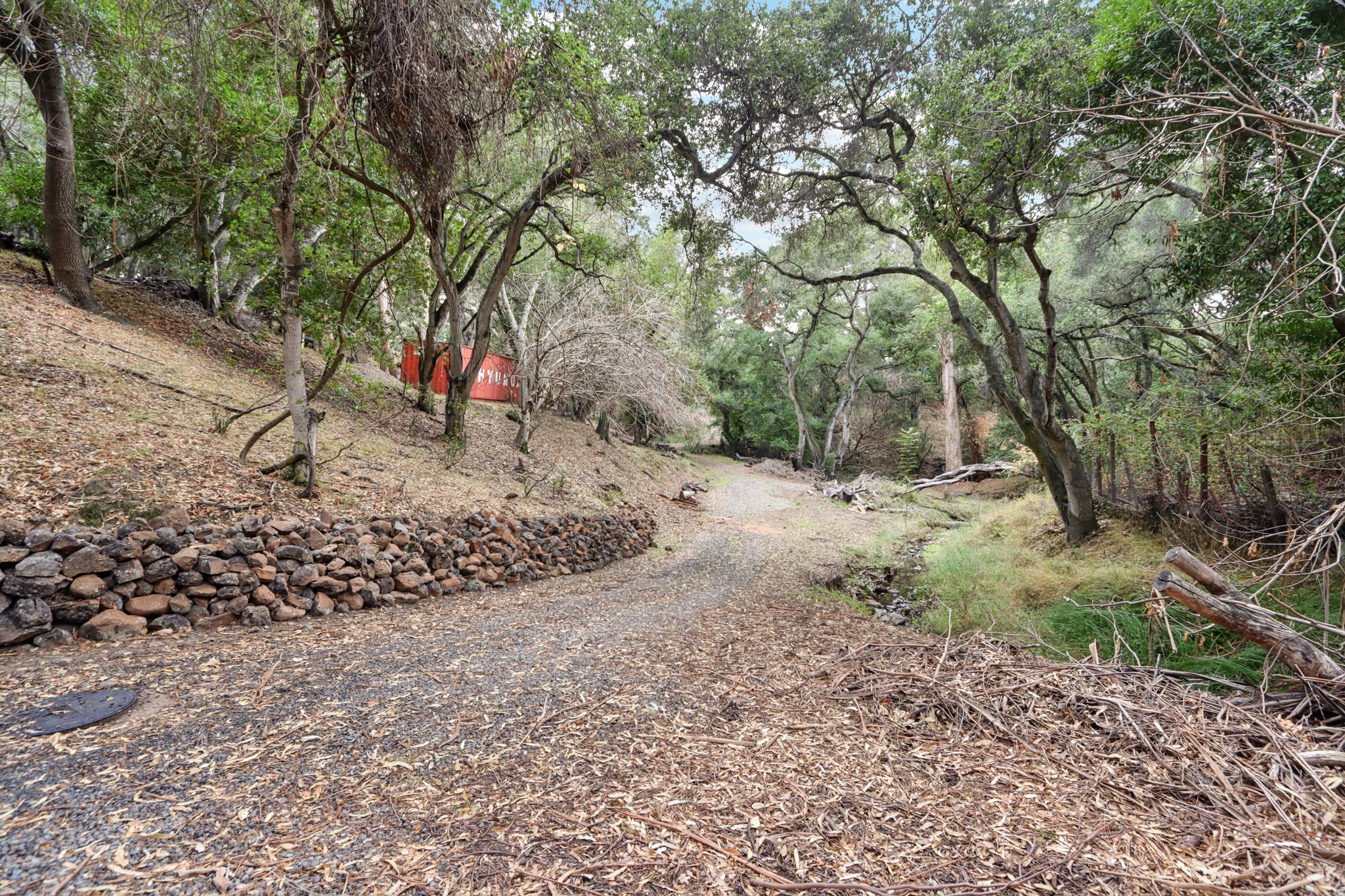 Hidden Oaks Dr-S2310-002.jpg