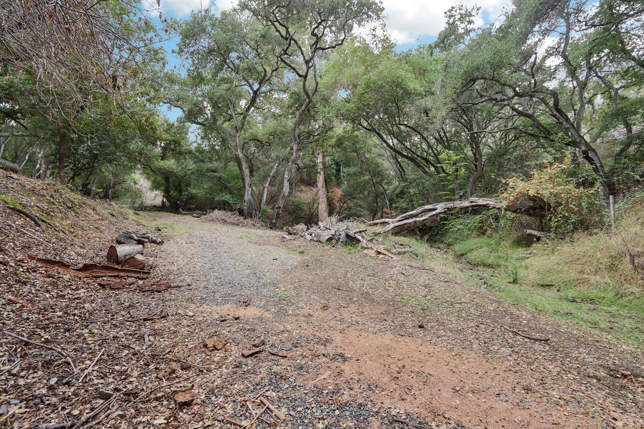 Hidden Oaks Dr-S2310-005.jpg