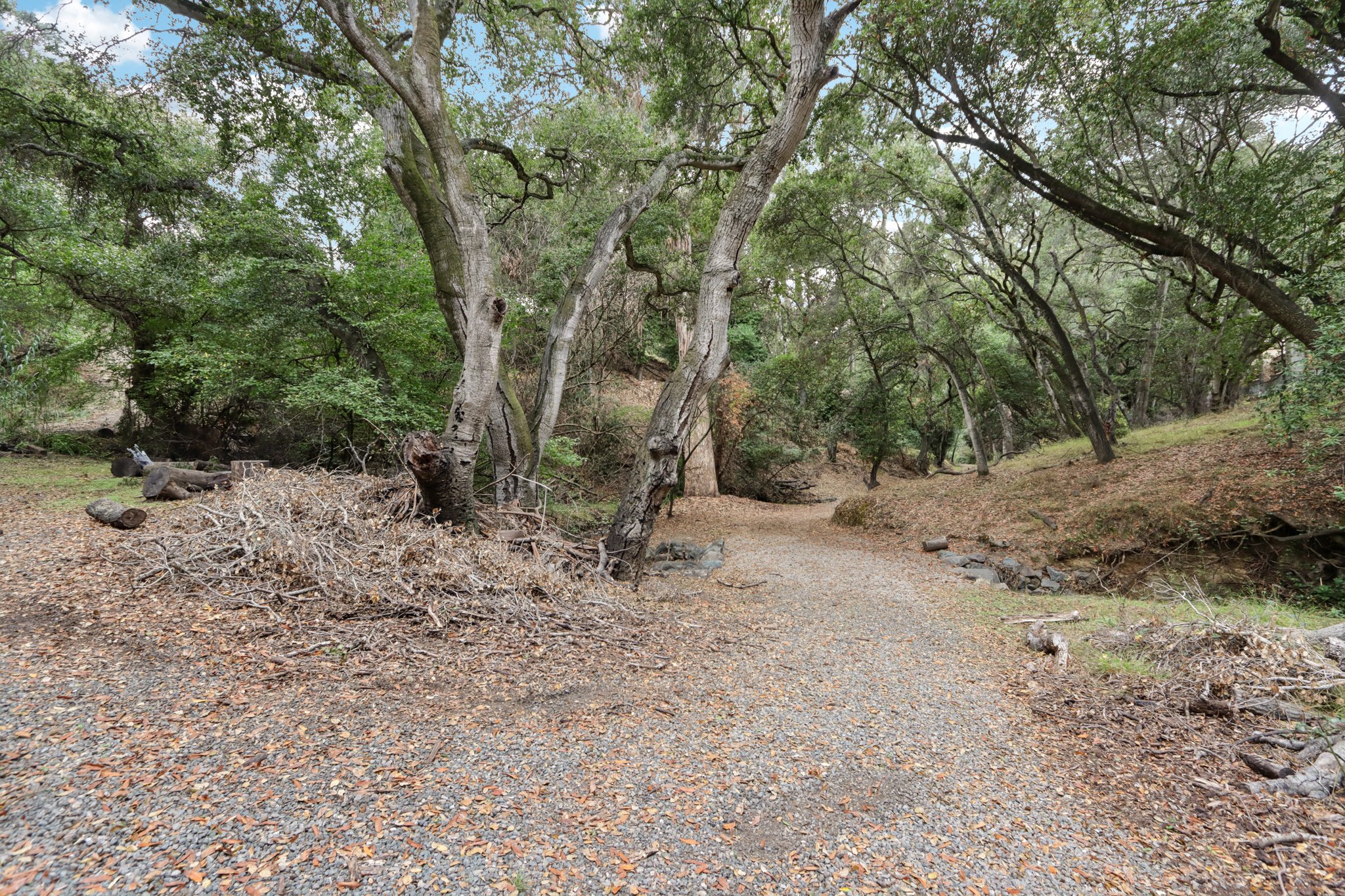 Hidden Oaks Dr-S2310-006.jpg