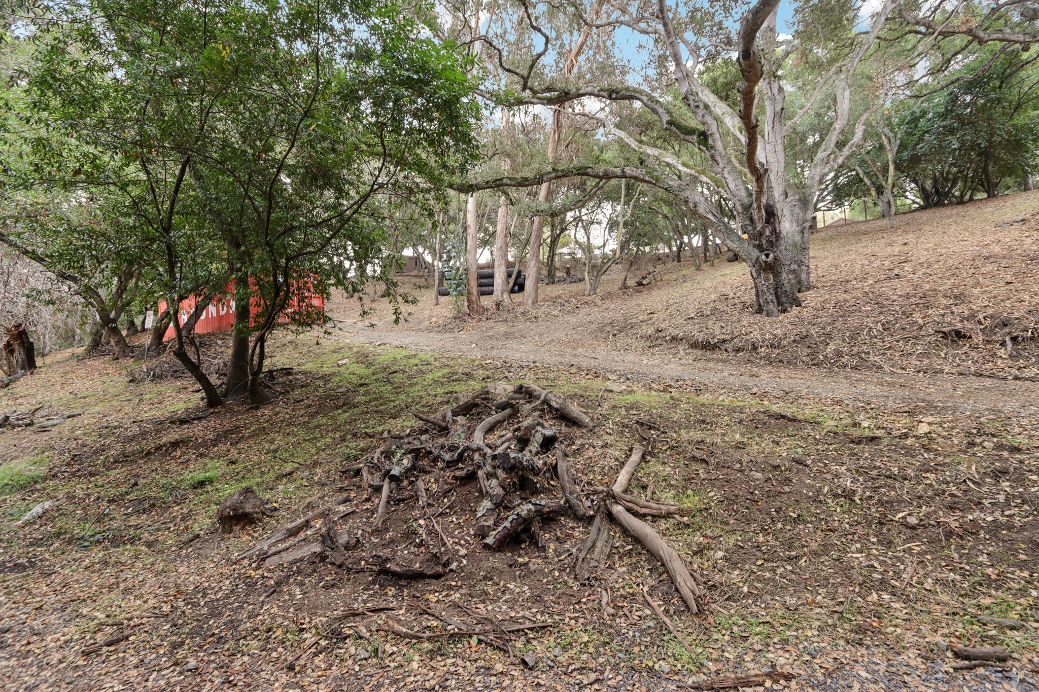 Hidden Oaks Dr-S2310-009.jpg