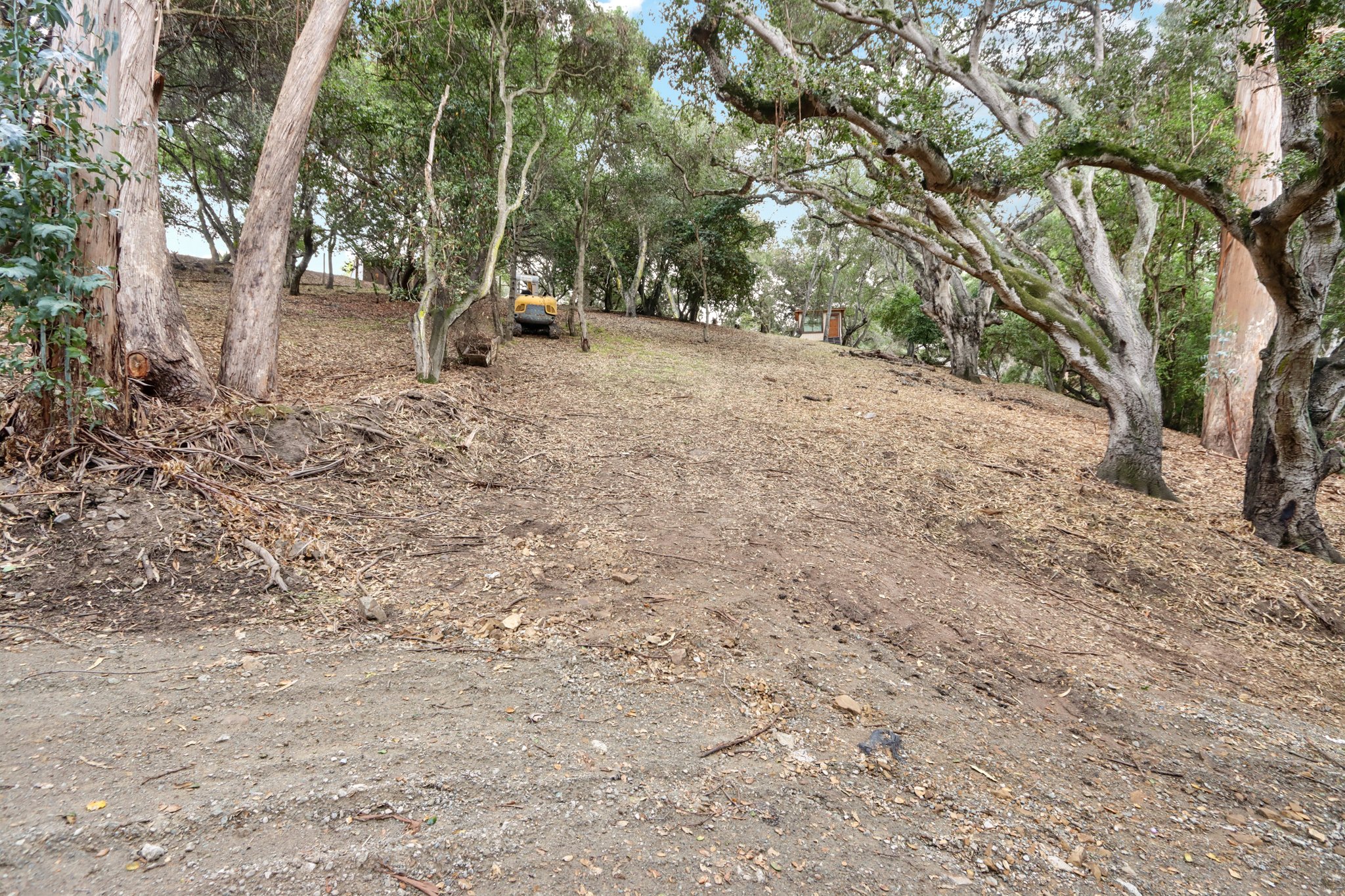 Hidden Oaks Dr-S2310-011.jpg