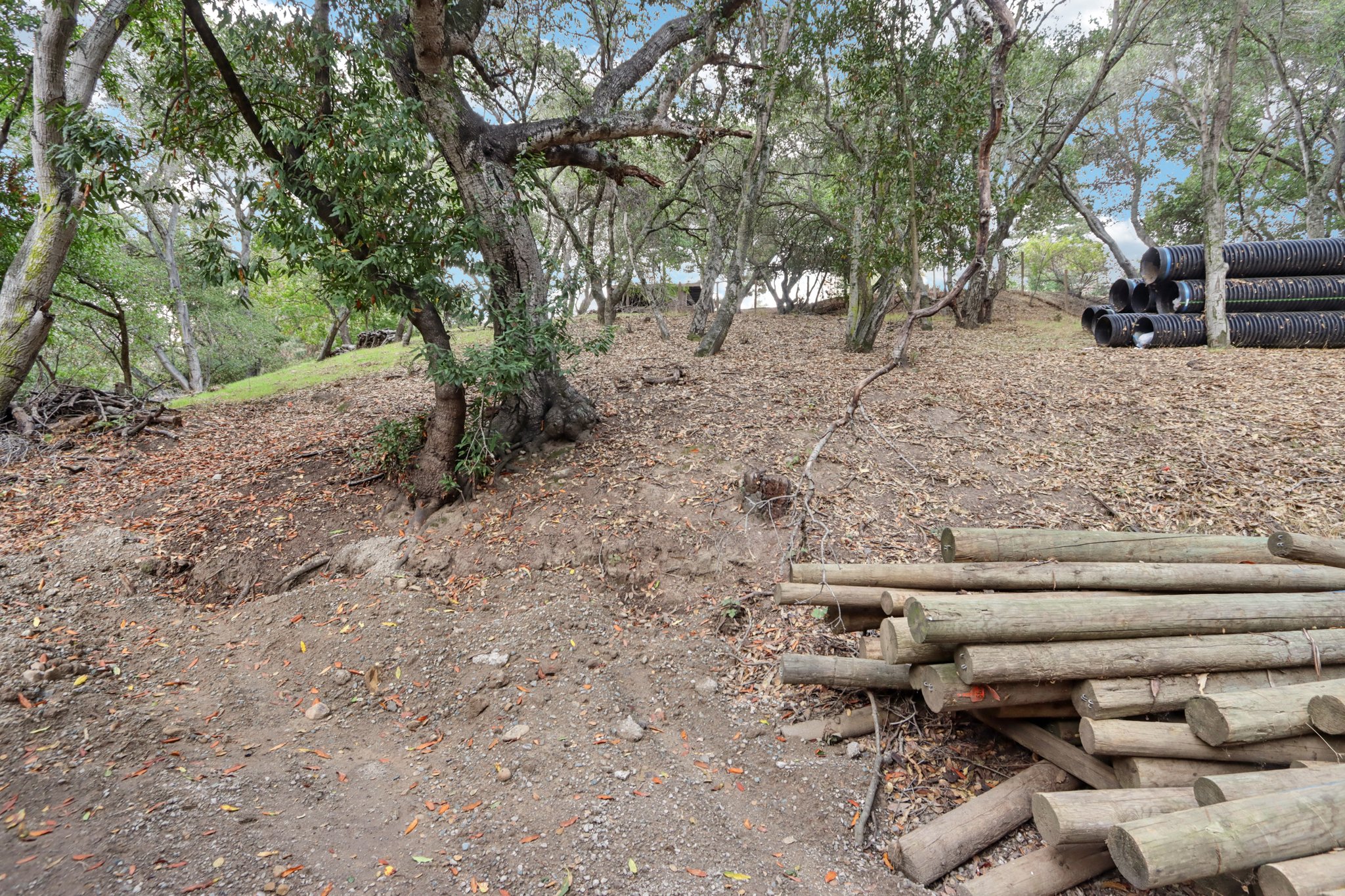 Hidden Oaks Dr-S2310-014.jpg