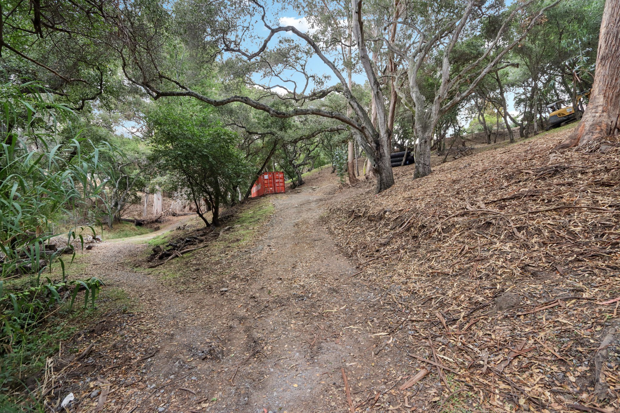 Hidden Oaks Dr-S2310-016.jpg