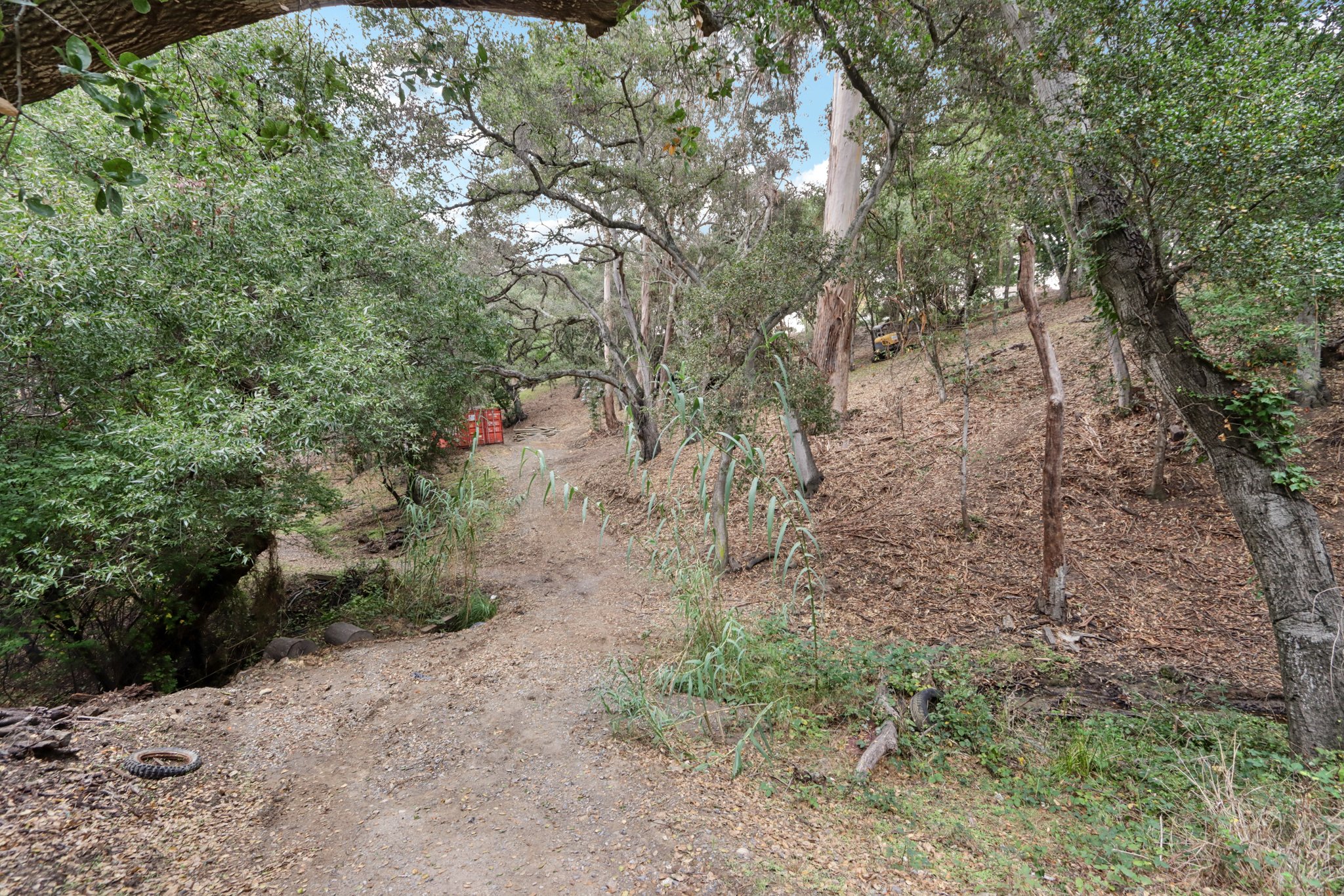 Hidden Oaks Dr-S2310-017.jpg