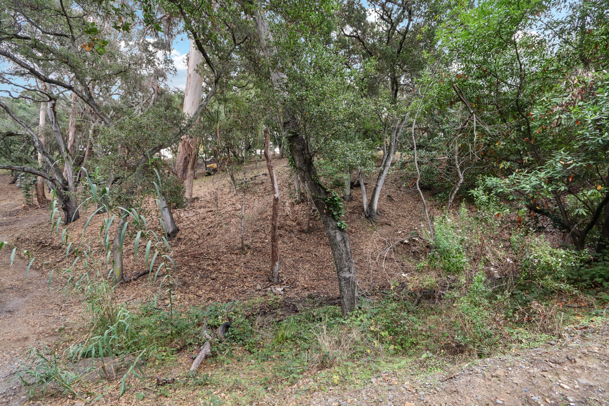 Hidden Oaks Dr-S2310-018.jpg