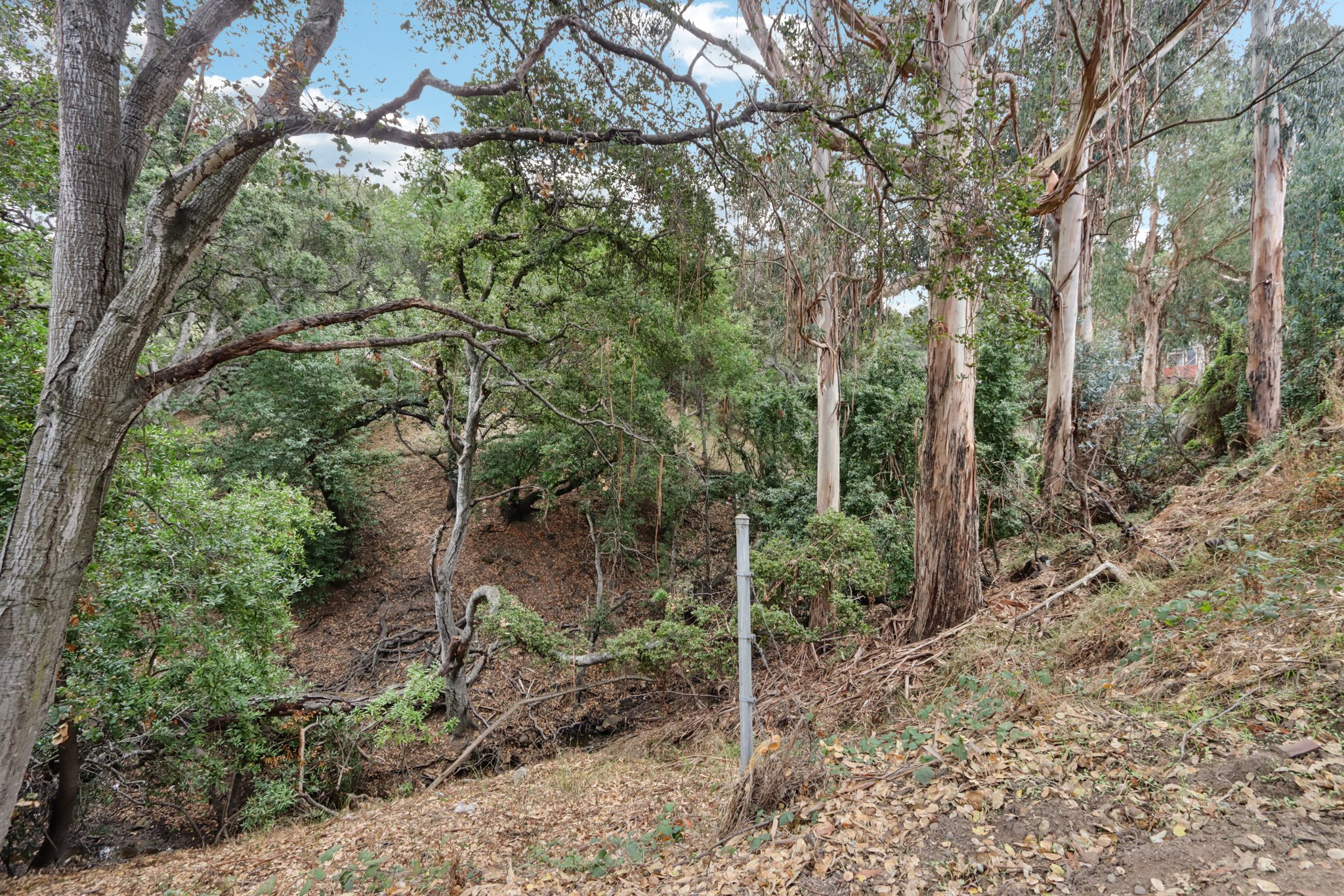 Hidden Oaks Dr-S2310-021.jpg