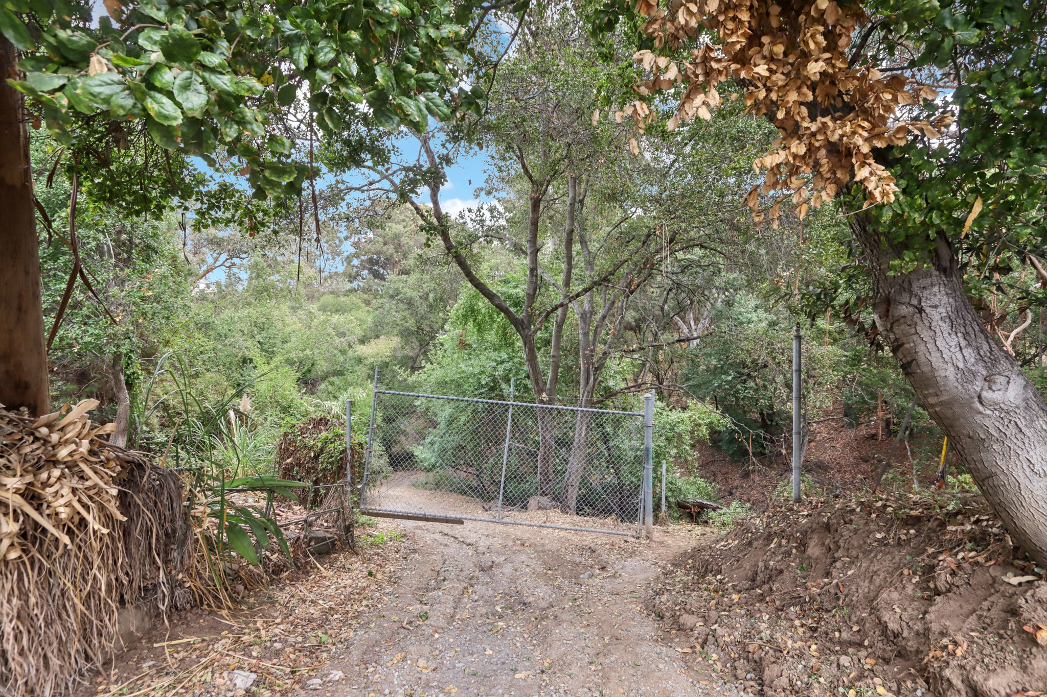 Hidden Oaks Dr-S2310-022.jpg