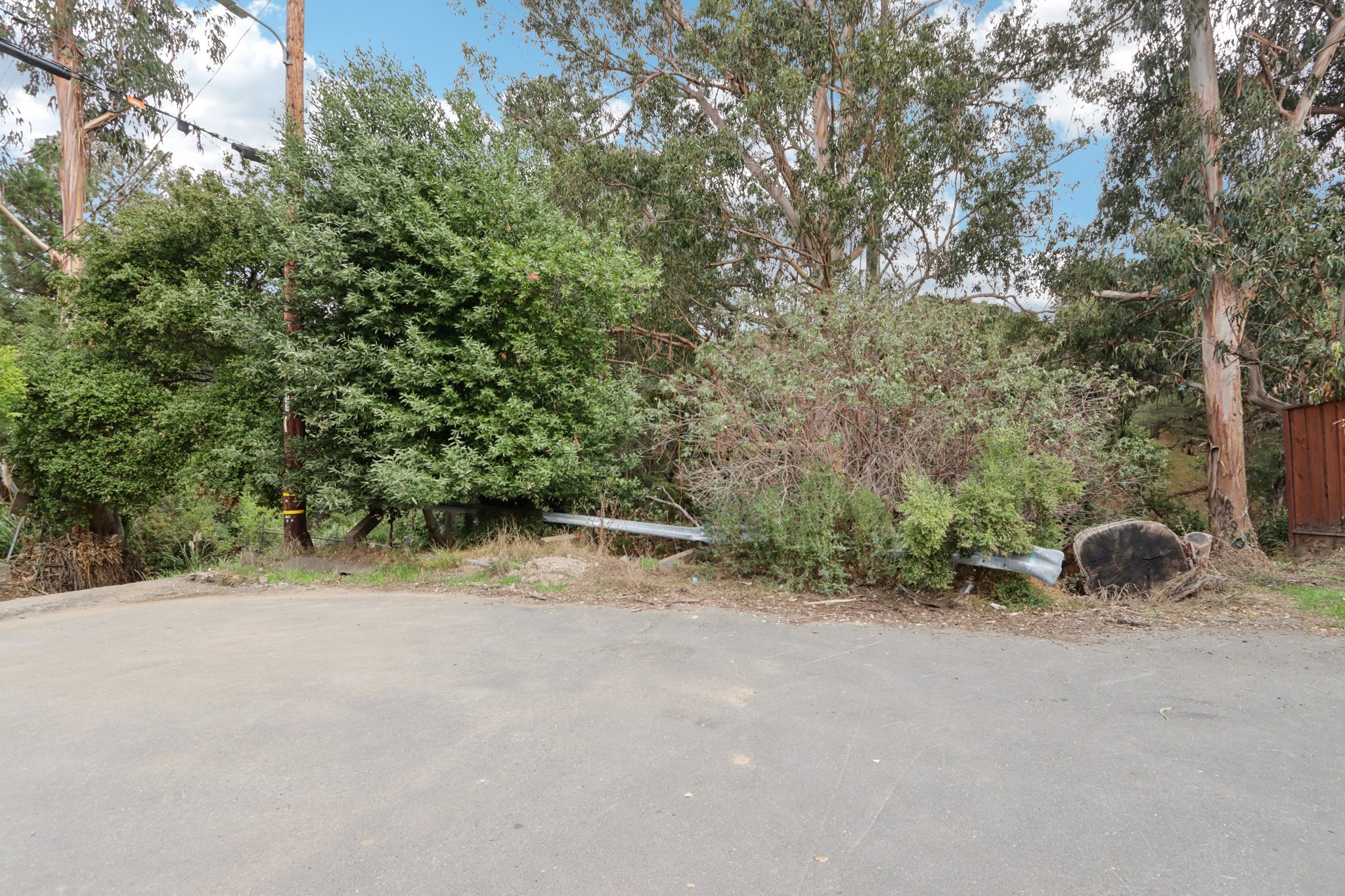 Hidden Oaks Dr-S2310-024.jpg