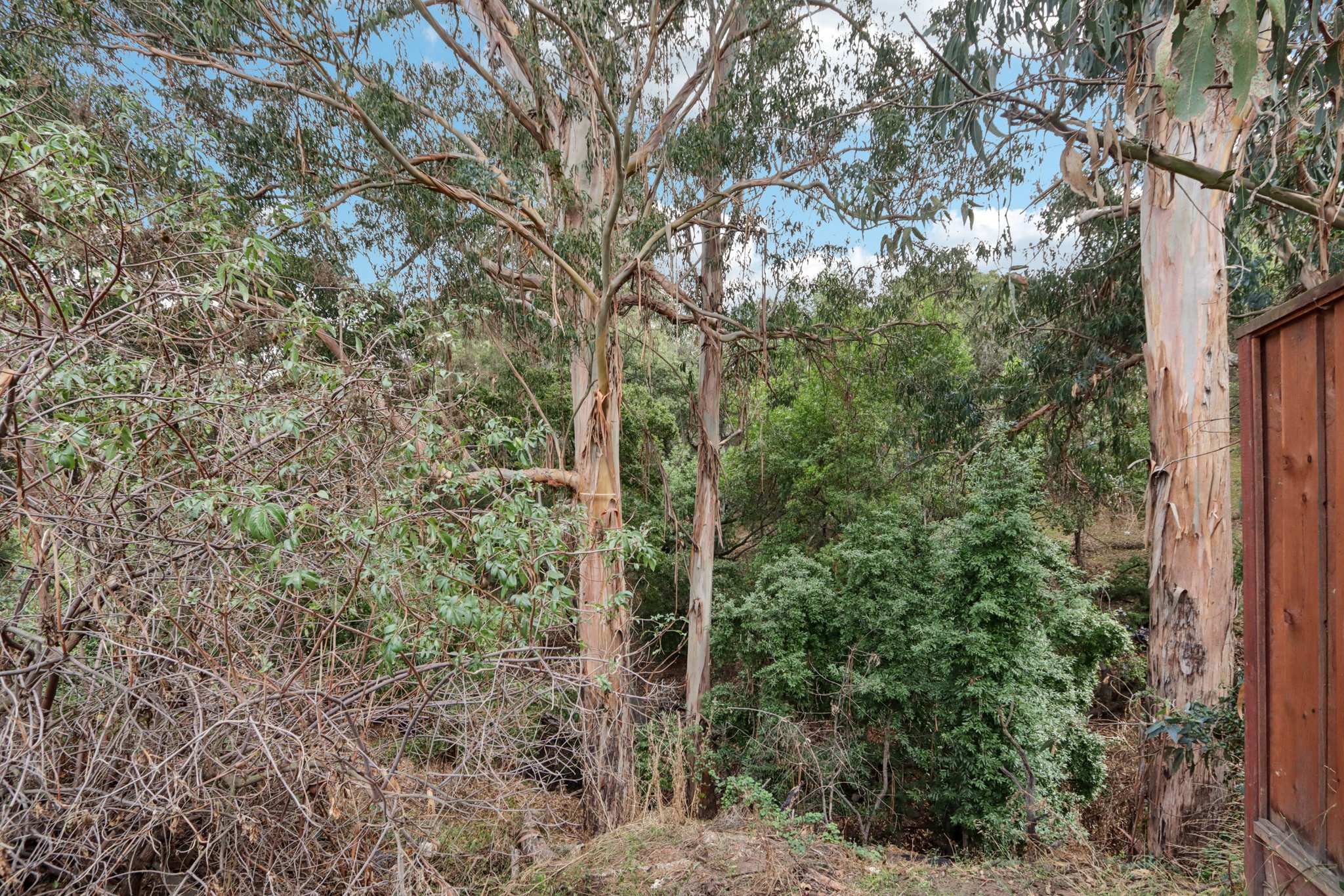 Hidden Oaks Dr-S2310-025.jpg