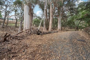 Hidden Oaks Dr-S2310-001.jpg