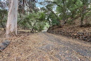 Hidden Oaks Dr-S2310-003.jpg