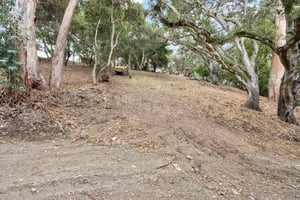 Hidden Oaks Dr-S2310-011.jpg