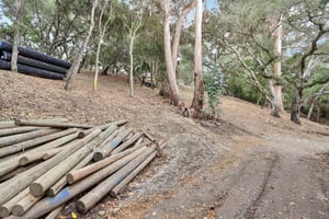 Hidden Oaks Dr-S2310-013.jpg