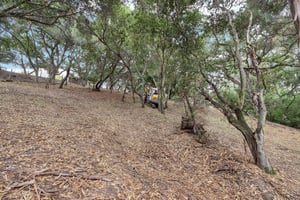 Hidden Oaks Dr-S2310-015.jpg