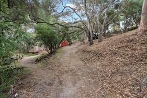 Hidden Oaks Dr-S2310-016.jpg