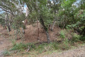 Hidden Oaks Dr-S2310-018.jpg