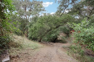 Hidden Oaks Dr-S2310-019.jpg