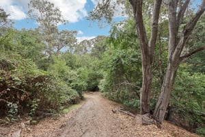 Hidden Oaks Dr-S2310-020.jpg