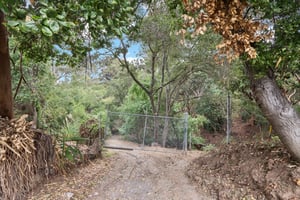 Hidden Oaks Dr-S2310-022.jpg