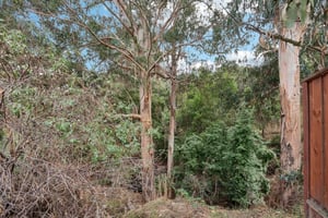 Hidden Oaks Dr-S2310-025.jpg